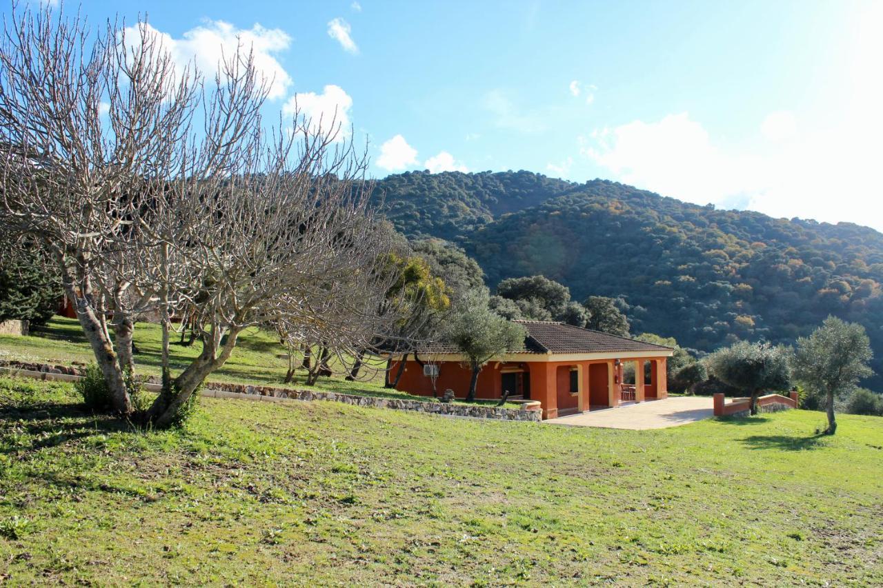 Apartamentos Cedro Alto Benaoján Exteriér fotografie